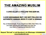the amazing muslim